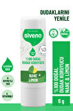 Siveno %100 Doğal Dudak Koruyucu Nane & Limon Bitkisel Lip Balm Krem Nemlendirici Parlatıcı Onarıcı 6 gr