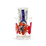 DİŞ FIRÇALIK VE MACUN KABI KIRMIZI PAPATYA AKRİLİK 8X8X9CM 350ML