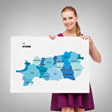 Harita Sepeti Aydın İli ve İlçeler Haritası Dekoratif Kanvas Tablo 1278