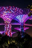 Singapur Temalı Fresco Magnet