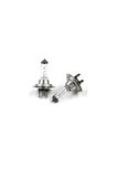 Vosla 2 Adet 12V H7 55W Standart Renk Halogen Ampul