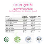 Güvey Otu Kapsül (OREGANO CAPSULE) 60 Adet