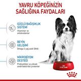 Royal Canin Çok Küçük Irklar için Yavru Kuru Köpek Maması 1.5kg