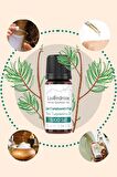 Çam Terebentin Yağı %100 Saf *Bitkisel Aromaterapi Yağı 10ml* Saç Bakım Yağı * Pine Turpentine Oil