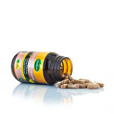 Çoban Çökerten & Üzerlik Tohumu Ekstresi 500 Mg 60 Kapsül