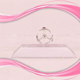 BUFFER® Dekoratif Masa Üstü Obje Manyetik Kinetik Orbital Dönen Yunuslar