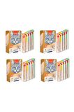 Kedi Sıvı Ödül Karma 25 Li X 4 Lü Eko Paket