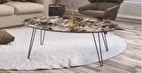 Orta sehpa OSM OVAL Model Metal V Ayak Parlak Ceviz Tabla İtinalı paket ve kargo Kutu sevk