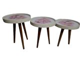 Zigon19628 Sehpa Çember PEMBE KARANFİL Model Kayın Retro Ceviz 3 Ayak Üstü Cam