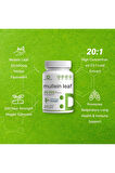 Mullein Leaf 20,000mg Herbal Equivalent, 240 Veggie Capsules