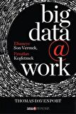 Big Data @ Work (Ciltli)