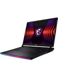 MSI Raider GE78 HX 14VHG-659TR i9-14900HX 64 GB 2 TB SSD RTX4080 17" Gaming Laptop