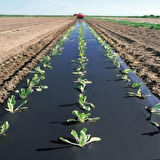 ÇİLEK MULCH NAYLONU 150 CM x 1000 METRE SİYAH TABAN ÖRTÜSÜ PİDOK ÇİLEK MULCH 30 MİCRON UV Lİ SEBZE NAYLONU