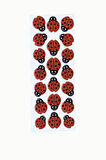 Sticker Kabartmalı Stiker Defter, Planlayıcı Etiket Uğur Böceği (cb256) 16x7 cm