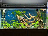 SHARK AKVARYUM ARMATÜR 155 CM ( 160-165 CM UYUMLU ) 3 SIRA LEDLİ 7425 LÜMEN