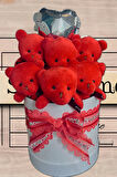 Premium Silindir Hediye Kutusunda, Kalpli Balonlu 6’lı Kırmızı Ayıcık Buketi