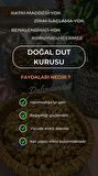Yeni Mahsül Doğal Dut Kurusu 250gr