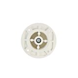8 CM 50 LİK PLASTİK BEYAZ YUVARLAK AYAK ( 4ADET)