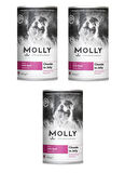 Molly Dana Etli Jöleli Köpek Konservesi 400 Gr X 3 Adet