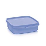 Bölmeli Yemek Taşıma Kabı Böğürtlen 550 ml
