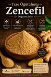 ZENCEFİL (ÖĞÜTÜLMÜŞ) 60GR