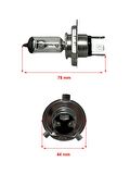 H4 Eco 12V 55/60W P43T Tırnaklı Far Ampulü