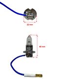 H3 24V 70W P22S Kablolu Halojen Ampul