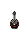 H11 12V 55W Halojen Sis, Far Ampulü