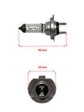 H7 12V 55W PX26D Universal Sis, Far Ampulü