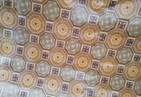MUŞAMBA 2m X 2m PVC ZEMİN KAPLAMA YER DÖŞEMESİ