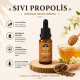 Sıvı Propolis 20 Ml