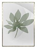 Shop365 Yapraklar Açık Tonlar Modern Tablo Çerçeveli P-000931