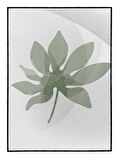Shop365 Yapraklar Açık Tonlar Modern Tablo Çerçeveli P-000931