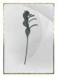 Shop365 Yapraklar Açık Tonlar Modern Tablo Çerçeveli P-000932