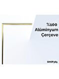 Shop365 Doğa Bitki Modern İllüstrasyon Tablo Çerçeveli P-002678
