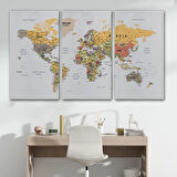 Harita Sepeti Detaylı Dünya Haritası Dekoratif Renkli Zeminli Kanvas Tablo 1676