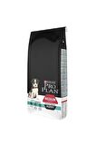 Pro Plan Sensitive Digestion Medium Puppy Kuzu Etli 12 kg Yavru Köpek Maması