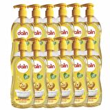 Dalin Şampuan Klasik %98 Organik İçerik 12 x 900 ML