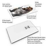 Hayvan Cam Tablo - Sevimli Dostlar Lavaboda - Dikey Motif 08-016
