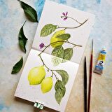 Süper Kombo 3ü1 arada eskiz defteri set (suluboya ve grafik için) Watercolor skethbook set