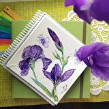 Süper Set 3ü1 arada üçgen eskiz defteri set (suluboya ve grafik ) Triangle watercolor skethbook set