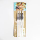 3'lü Doldurulabilir Sulu Boya Fırçalar Seti ''Vincent Van Gogh'' WATER BRUSH