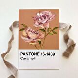 Pantone 25 ad. Toprak renler Postcards Scrapbooking Sanat Kartları