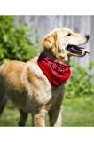 Şal Desenli, Etnik desen bandana seti
