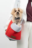 Reyo Max Design Kedi Köpek Taşıma Çantası Kırmızı – Seyahat için Hafif ve Hava Alabilen Çanta