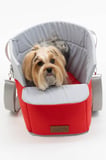 Reyo Max Design Kedi Köpek Taşıma Çantası Kırmızı – Seyahat için Hafif ve Hava Alabilen Çanta