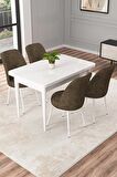 Rovena Duru Beyaz 70x110 Sabit Mdf Mutfak Masası Takımı 4 Adet Sandalye