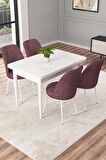 Rovena Duru Beyaz 70x110 Sabit Mdf Mutfak Masası Takımı 4 Adet Sandalye