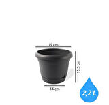 Omnipazar KRS-342 Dekoratif İnci Bitki Çiçek Saksı Takımı 2.2 Litre No 2