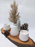 PAMPAS VAZOLU TABAKLI İKİLİ TEALİGHT MUMLUK SET BEYAZ